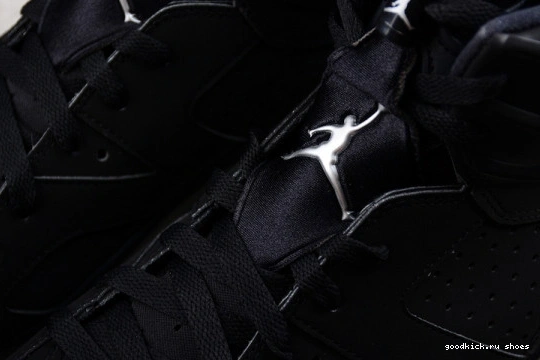 Jordan Retro DX2836-001 6 DX2836-001 Silver Metallic 0306